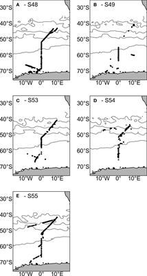 Frontiers Spatial And Temporal Variability Of Phytoplankton